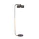 Aaron One Light Floor Lamp (79813)