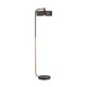 Aaron One Light Floor Lamp (79813)
