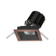 manufacturer_finish:Copper Bronze|light_output:1340.00lm|color_temperature:3000K|cri:85