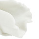 Carnegie Sculpture in Ivory (314-ASC23)
