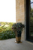 Chaparral Planter (AVI06)