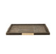Dillard Tray (AYI07)
