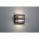 Dillon LED Outdoor Wall Mount (20392LEDDMG-BL/CLR) Dillon LED Outdoor Wall Mount (20392LEDDMG-BL/CLR)