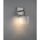 Port Nine Chardonnay LED Wall Sconce (63144LEDD-BS/CLR) Port Nine Chardonnay LED Wall Sconce (63144LEDD-BS/CLR)