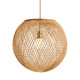Indiana One Light Pendant (45629) Indiana One Light Pendant (45629)