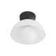 Donley One Light Flush Mount (49386) Donley One Light Flush Mount (49386)