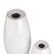 Yancy Vases, Set of 2 (AVC09) Yancy Vases, Set of 2 (AVC09)