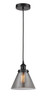 manufacturer_finish:Matte Black|manufacturer_glass:Light Smoke Large Cone|light_output:220.00lm|color_temperature:2200K|cri:99 manufacturer_finish:Matte Black|manufacturer_glass:Light Smoke Large Cone|light_output:220.00lm|color_temperature:2200K|cri:99