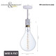 Bulbrite - 810174 - Pendant - Clear