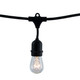 String String Light (812312) String String Light (812312)