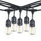 String String Light (812313) String String Light (812313)