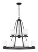 manufacturer_finish:Midnight Black|light_source:LED|light_output:800.00lm|color_temperature:3000K|cri:90