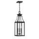 Emery Three Light Outdoor Hanging Lantern (5-608-BK) Emery Three Light Outdoor Hanging Lantern (5-608-BK)