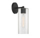 Ricci One Light Wall Sconce (V6-L9-2460-1-89)