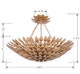 Broche Six Light Chandelier (517-GA) Broche Six Light Chandelier (517-GA)