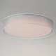 Prime LED Flush Mount (10237WO)