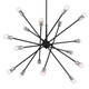 Armstrong 16 Light Chandelier (52537BK)