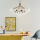 Silvarious 16 Light Chandelier Convertible (52702CPZ)