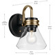 Farum One Light Wall Sconce (55153BKCLR)