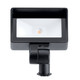 Led Integrated Wash LED Flood Light (16026BKT30)
