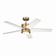 Brahm 48"Ceiling Fan (300048NBR)