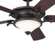 Rise 60"Ceiling Fan (300370OZ)