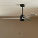Spyn Lite 52"Ceiling Fan (300375SBK)
