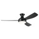 Ample 54"Ceiling Fan in Satin Black (12-310354SBK)