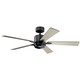 Lucian Elite 52"Ceiling Fan in Satin Black (12-330000SBK)