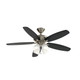 Renew 52"Ceiling Fan (330160BSS)