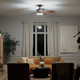 Renew Select 52"Ceiling Fan (330161OBB)