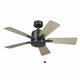 Lucian II 42"Ceiling Fan (330241SBK)