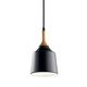 Danika One Light Mini Pendant (43682BK)