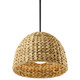 Raffiana One Light Mini Pendant (44399BK)