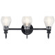 Greenbrier Three Light Bath (45392BK)