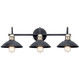 Clyde Three Light Bath (45945BK)