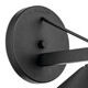 Ripley One Light Outdoor Wall Mount (49061BK)