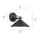 Ripley One Light Outdoor Wall Mount (49061BK)