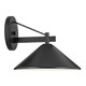 Ripley One Light Outdoor Wall Mount (49061BK)