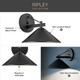 Ripley One Light Outdoor Wall Mount (49061BK)