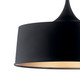 Elias One Light Pendant/Semi Flush (52097BK)