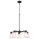 Stamos Five Light Chandelier (52436BK)