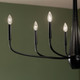 Deela Eight Light Chandelier (52528BK)