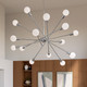 Armstrong 16 Light Chandelier in Chrome (12-52537CH)
