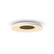 Ramen LED Wall Sconce (RMW-12-SW-BRS-HW+24BD-MWT)