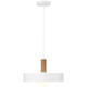 Slate One Light Pendant (23798-WH/WGN)