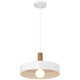 Slate One Light Pendant (23798-WH/WGN)