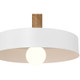 Slate One Light Pendant (23798-WH/WGN)