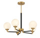 manufacturer_finish:Matte Black w/ Warm Brass|manufacturer_glass:Strie