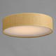 Prime LED Flush Mount (10222GC)